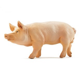 (image for) Dollhouse Scale Model Boar