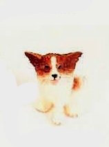 (image for) Dollhouse Scale Model Papillion Dog