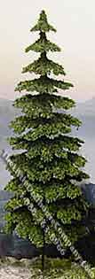 (image for) Miniature Green Douglas Fir Trees for Dollhouses