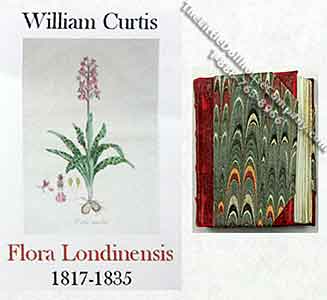 (image for) Miniature Book: 'Flora Londinensis'
