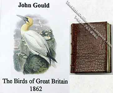 (image for) Miniature Book: 'Birds of Great Britain' by John Gould