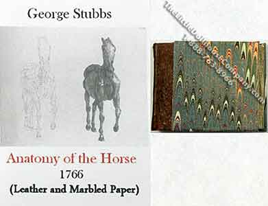 (image for) Miniature Book: 'Anatomy of the Horse Book'