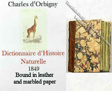 (image for) Miniature Book: 'Dictionnaire d'Histoire Naturelle'