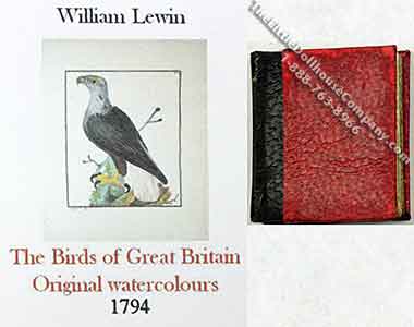 (image for) Miniature Book: The Birds of Great Britain Original Watercolours