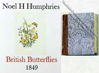 (image for) Miniature Book: 'British Butterflies'