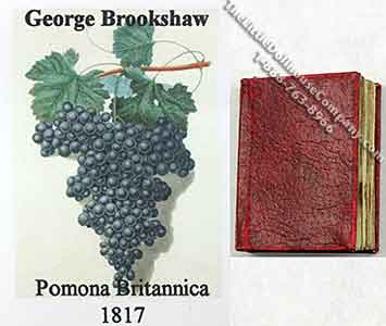 (image for) Miniature Book: 'Pomona Britannica'