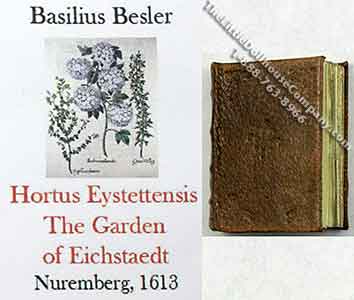 (image for) Miniature Book: 'Hortus Eystettensis The Garden of Eichstaedt'