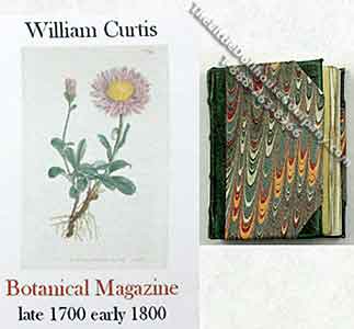 (image for) Miniature Book: 'Botanical Magazine'