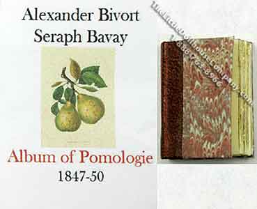 (image for) Miniature Book: Album of Pomologie
