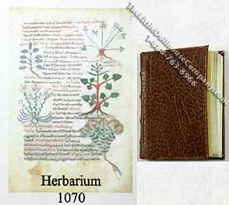 (image for) Miniature Book: 'Herbarium'