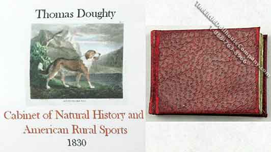 (image for) Miniature 'Cabinet of Natural History & American Rural Sports'