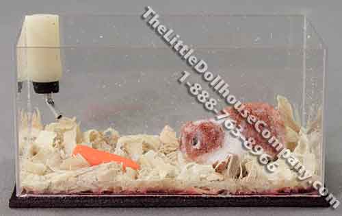 (image for) Miniature Guinea Pig in Aquarium by Alice Zinn for Dollhouses