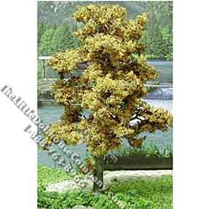 (image for) Miniature 3" Bright Green Tree for Dollhouses, 6/pkg