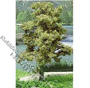 (image for) Miniature 3" Spring Green Tree for Dollhouses, 6/pkg